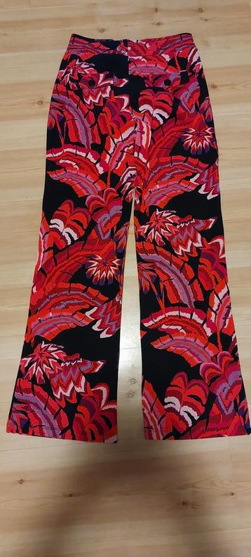 MI Piace travelbroek beschikbaar voor biedingen