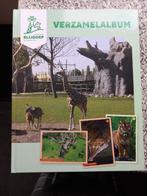Verzamelalbum Diergaarde Blijdorp (actie Jumbo), Verzamelen, Ophalen of Verzenden, Nieuw, Overige soorten, Overige typen