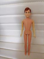 Vintage barbie poppen Ricky, Ophalen of Verzenden, Gebruikt, Fashion Doll