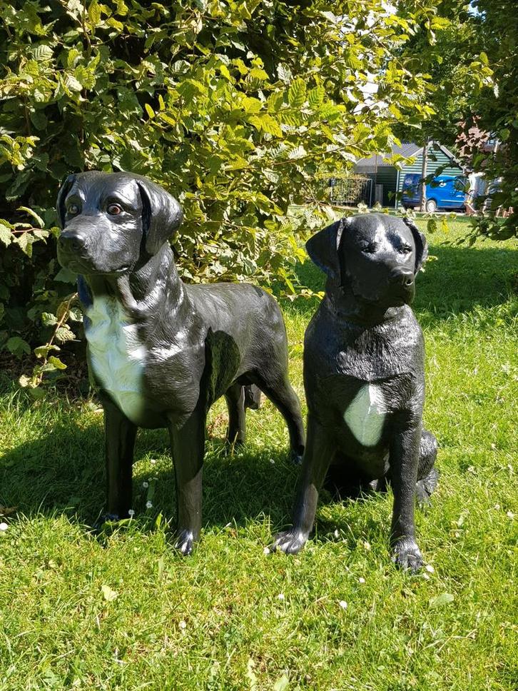 Zwarte Labradors, Tuin en Terras, Tuinbeelden, Nieuw, Dierenbeeld, Kunststof, Ophalen