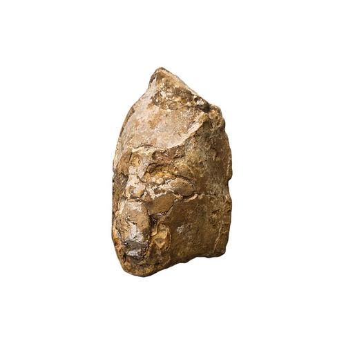 Oude stenen hoofd uit Frankrijk, Antiek en Kunst, Antiek | Overige Antiek, Ophalen of Verzenden