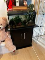 Aquarium met meubel en accessoires, Ophalen, Gebruikt, Gevuld zoetwateraquarium