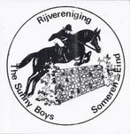 So194 sticker the sunny boys someren - eind, Ophalen of Verzenden, Zo goed als nieuw, Overige typen