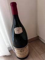 Grote wijn fles, Ophalen of Verzenden, Zo goed als nieuw, Frankrijk, Overige typen