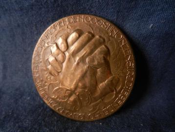 Bronzen penning Nl. Nansen Comité C vd Hoef en L Zijl 1923 beschikbaar voor biedingen