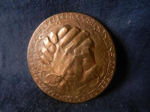 Bronzen penning Nl. Nansen Comité C vd Hoef en L Zijl 1923, Postzegels en Munten, Penningen en Medailles, Brons, Nederland, Ophalen of Verzenden