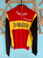 WIELERSHIRT, TRUI TI RALEIGH CAMPAGNOLO, Ophalen of Verzenden