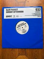 G&M Project ‎- Sunday Afternoon (Vinyl, 12"), Ophalen of Verzenden, Gebruikt, 12 inch, Techno of Trance
