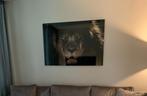 Glas schilderij leeuw! 100x70!!, Ophalen