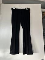 Zwarte gedragen Chastar broek, Ophalen of Verzenden, Maat 36 (S), Lang, Gedragen