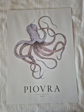 Poster Piovra Desenio 50x70 beschikbaar voor biedingen