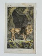 S U P e R - 1770 Leeuw - le lion Antieke Plaat 250 jaar Oud!, Antiek en Kunst, Ophalen of Verzenden