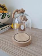 Glazen stolp met een houten basis H16 D11, Huis en Inrichting, Woonaccessoires | Stolpen, Ophalen, Zo goed als nieuw