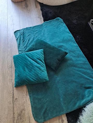 2 groene kussentes en 1 plaid beschikbaar voor biedingen