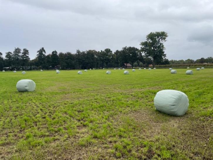 midibalen: voordroog & hooi, Dieren en Toebehoren, Dierenvoeding, Vee, Ophalen