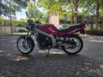 Suzuki gs500, 2 cilinders, 487 cc, Particulier, Minimaal motorrijbewijs A2