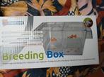 Superfish Breeding  Box, Dieren en Toebehoren, Vissen | Aquariumvissen, Vis