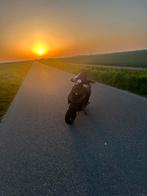 Zip 4t 50cc, Ophalen, Zo goed als nieuw, Overige typen, Piaggio