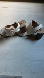 Creme sandalen nieuw! Maat 37, Kleding | Dames, Schoenen, Overige kleuren, Primark, Zo goed als nieuw, Sandalen of Muiltjes