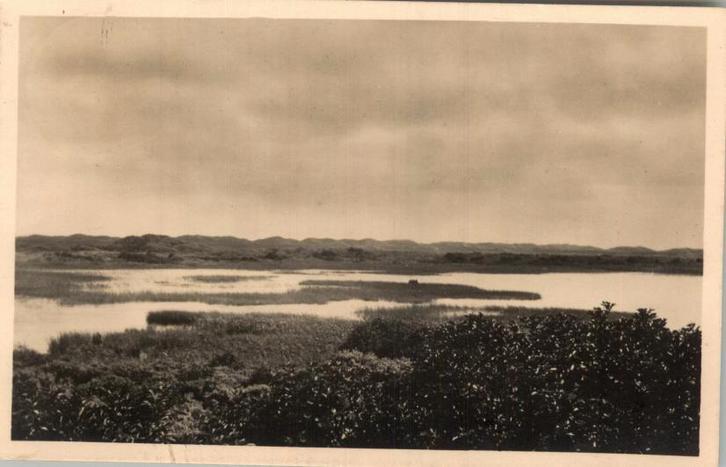 Texel Binnen Mui /Insulo Tekselo (Esperanto) st 1938, Verzamelen, Ansichtkaarten | Nederland, Gelopen, Waddeneilanden, Voor 1920
