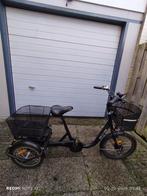 Mooie Rixtel swing electriche driewieler, Ophalen of Verzenden, Zo goed als nieuw, Overige merken