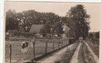 de steeg- carolinahoeve, Ophalen of Verzenden, Voor 1920, Gelderland