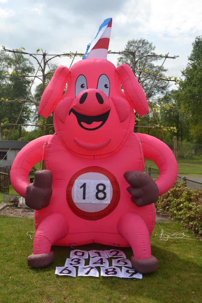 Leuk opvallende opblaasbare feestvarken met iedere leeftijd, Ophalen, Zo goed als nieuw, Verjaardag