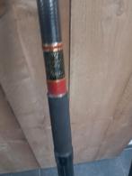Diverse kant hengels tekoop 5 meter hengels, Watersport en Boten, Ophalen of Verzenden, Gebruikt, Werphengel
