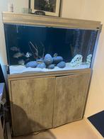 Aqualantis 200L, Ophalen of Verzenden, Leeg aquarium