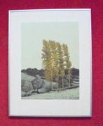 Sees Vlag.1934-2018.Geuldal., Antiek en Kunst, Kunst | Litho's en Zeefdrukken, Ophalen of Verzenden