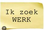 Werk gezocht, Overige vormen