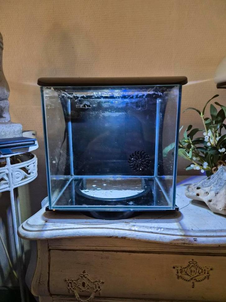 Tetra garnalen bakje, Dieren en Toebehoren, Vissen | Aquaria en Toebehoren, Gebruikt, Leeg aquarium, Ophalen