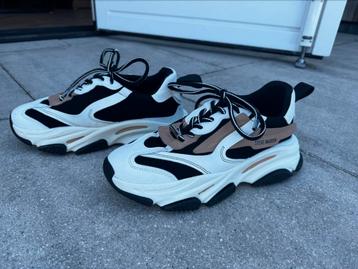 Sneakers Steve Madden maat 41 beschikbaar voor biedingen