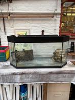 Te koop schildpadden bak of aquarium, Dieren en Toebehoren, Schildpad