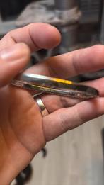 Calvin klein slavenarmband, Ophalen of Verzenden, Zo goed als nieuw, Balpen, Overige merken