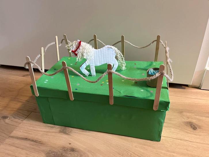 Sinterklaassurprise paard van sinterklaas in de wei!, Diversen, Sinterklaas, Nieuw, Ophalen of Verzenden