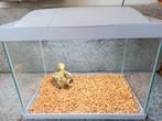Superfish aquarium start 20 Z.G.A.N. compleet., Ophalen of Verzenden, Zo goed als nieuw, Leeg aquarium
