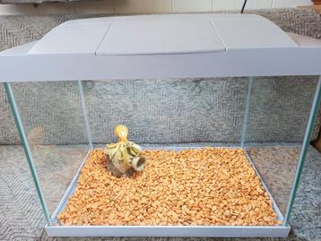   Superfish aquarium start 20 Z.G.A.N. compleet. beschikbaar voor biedingen