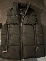 Zwarte gewatteerde bodywarmer Malelions, Ophalen of Verzenden, Zo goed als nieuw, Maat 48/50 (M), Zwart