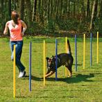 Agility Slalomset Palen 6 stuks Palen Training Hondensport, Dieren en Toebehoren, Ophalen of Verzenden, Nieuw
