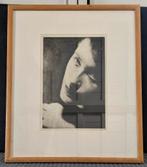 Heliogravure  "Louise", Eric de Vries en Paul Paas, Ophalen of Verzenden