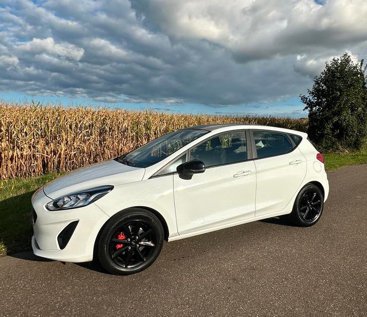 Ford Fiësta 1.1 85pk 5dr 2017 Wit, Auto's, Ford, Particulier, Benzine, B, Hatchback, Handgeschakeld, Origineel Nederlands, Wit