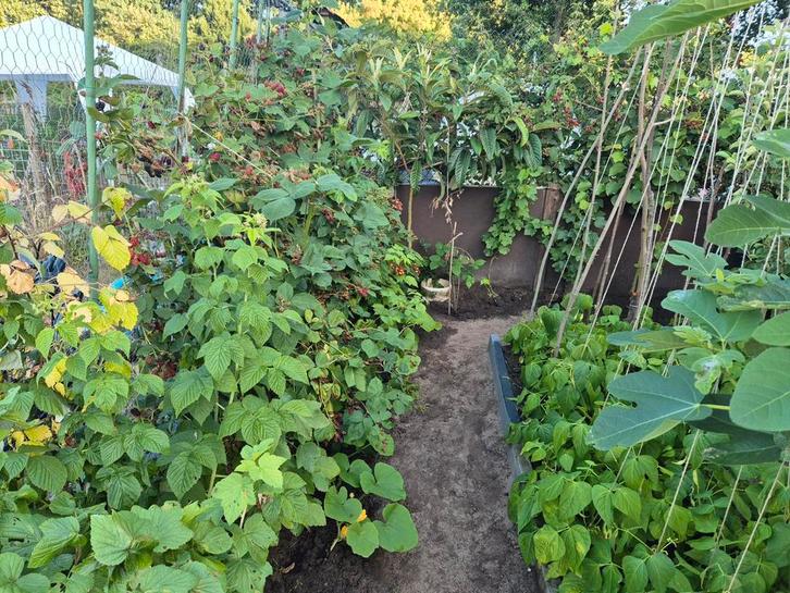 Poetshulp of Tuinder in Harderwijk, Vacatures, Vacatures | Schoonmaak en Facilitaire diensten