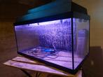 Juwel 60 liter aquarium, Dieren en Toebehoren, Vissen | Aquaria en Toebehoren, Ophalen, Leeg aquarium