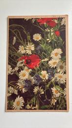P. SMEELE. Margrieten, klaprozen, korenbloem, Verzamelen, Ophalen of Verzenden, 1940 tot 1960, Gelopen