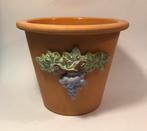 Mooie grote plantenpot, terracotta met blauwe druiven, Ophalen of Verzenden