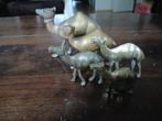 5 messing kamelen, Verzamelen, Ophalen of Verzenden, Zo goed als nieuw, Boerderijdier, Beeldje of Figuurtje