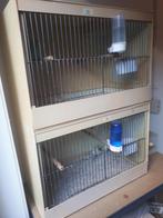 Te koop 4 kweek kooien met 10grasparkieten en 6 zeberavinken, Dieren en Toebehoren, Ophalen, Zo goed als nieuw, Broedkooi of Kweekkooi