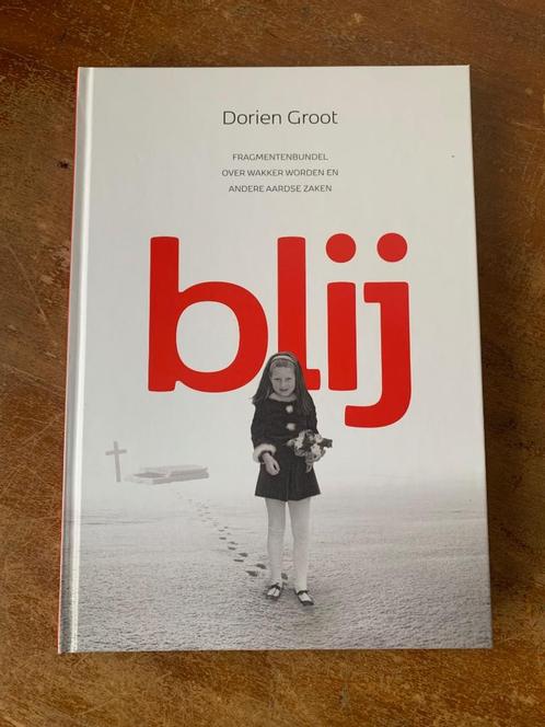 Blij - Dorien Groot, Boeken, Overige Boeken, Zo goed als nieuw, Ophalen of Verzenden