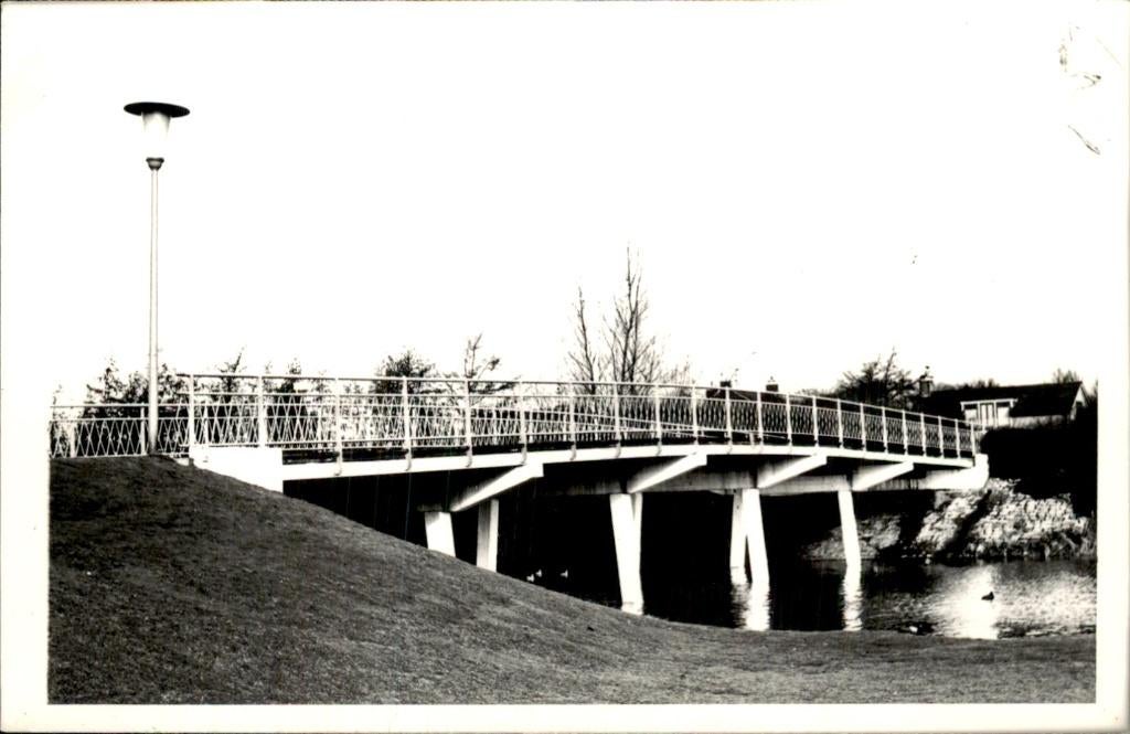 Dodrecht - Zuntij park - Foto(kaart), Ophalen of Verzenden, 1940 tot 1960, Zuid-Holland